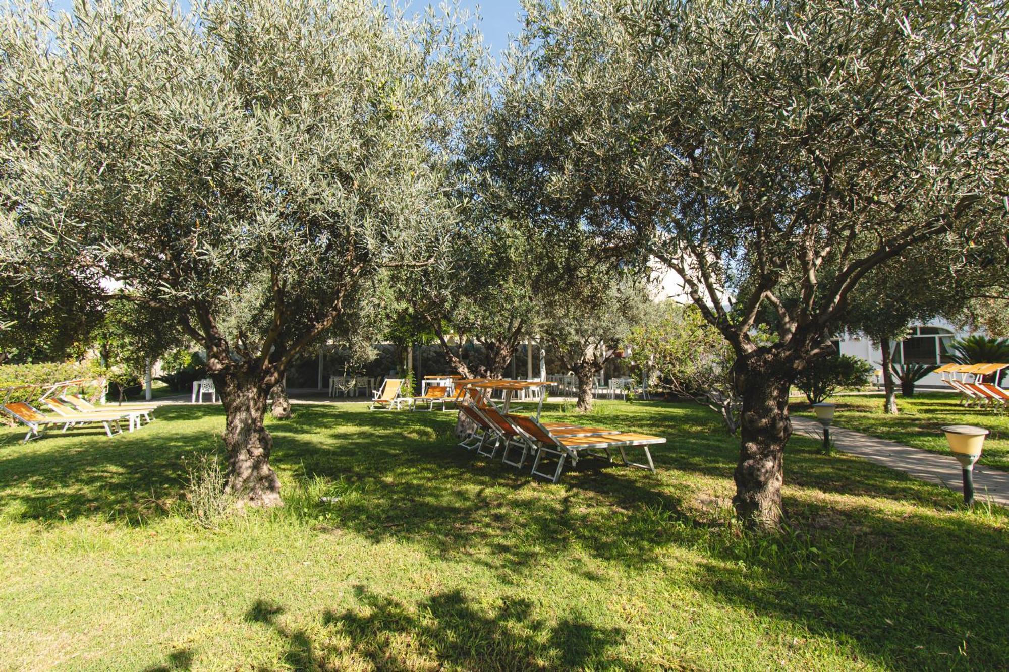 Forio di Ischia Hotel Park Victoria מראה חיצוני תמונה